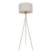 Meela Polished Brass 1-light Floor Lamp