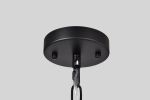 Shawn Matte Black 4-Light Metal Orb Cage Chandelier