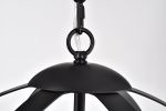 Shawn Matte Black 4-Light Metal Orb Cage Chandelier