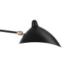Sergio Two-Arm Ceiling Lamp
