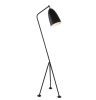 Paulina Floor Lamp