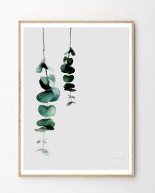 Eucalyptus 2 Print (size: 30 x 40cm)