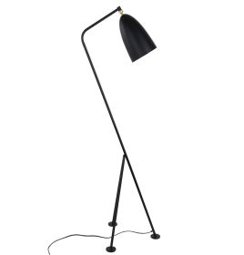 Paulina Floor Lamp (Variations: Matte Black)