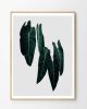 Philodendron Print